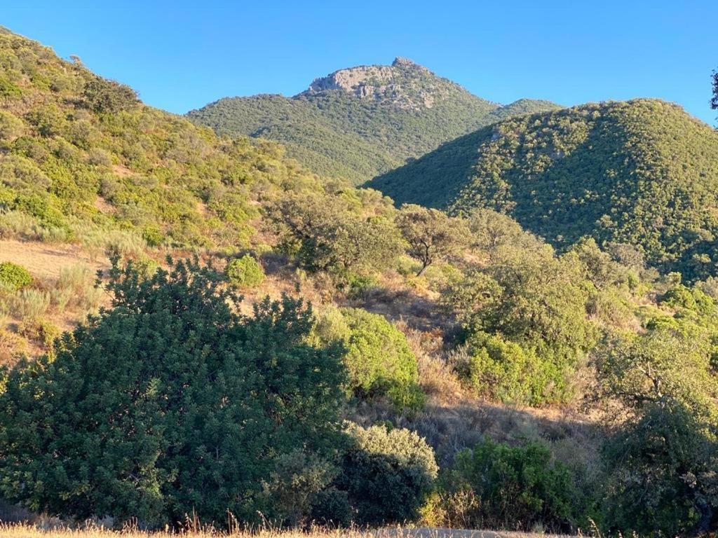 Alojamiento Rural Rancho Valero 엘보스크 외부 사진